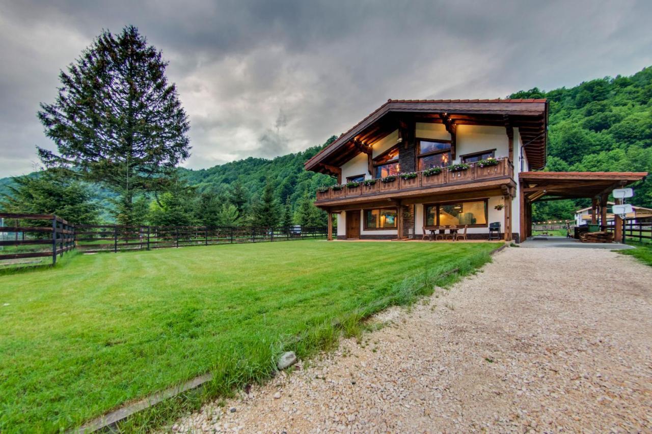 Avalanche Plaiul Foii Villa เซอร์เนช ภายนอก รูปภาพ